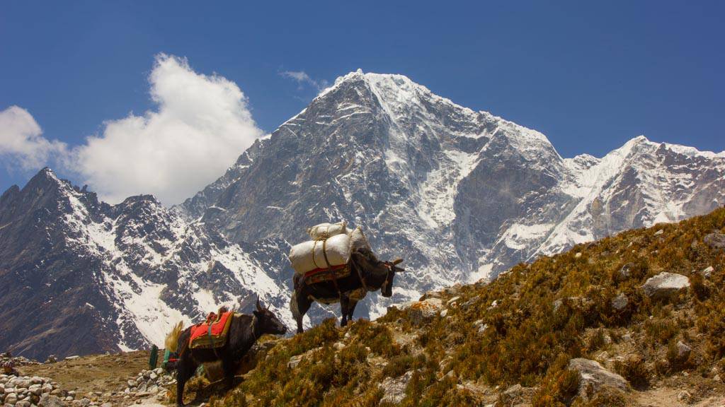 everest0